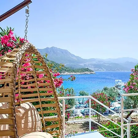 Hotel Blanca *