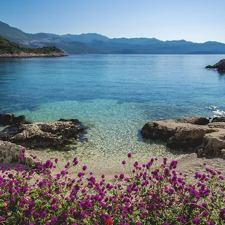 Blanca * Kaş
